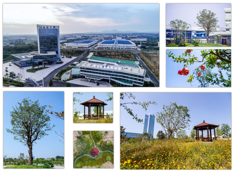 77���� �C ȫ����ȫ����̬�ȵ���������ֱ��ƽ̨