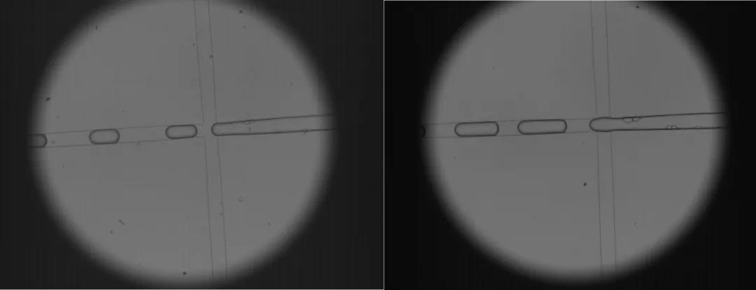 77���� �C ȫ����ȫ����̬�ȵ���������ֱ��ƽ̨