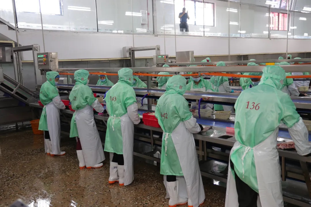 77���� �C ȫ����ȫ����̬�ȵ���������ֱ��ƽ̨