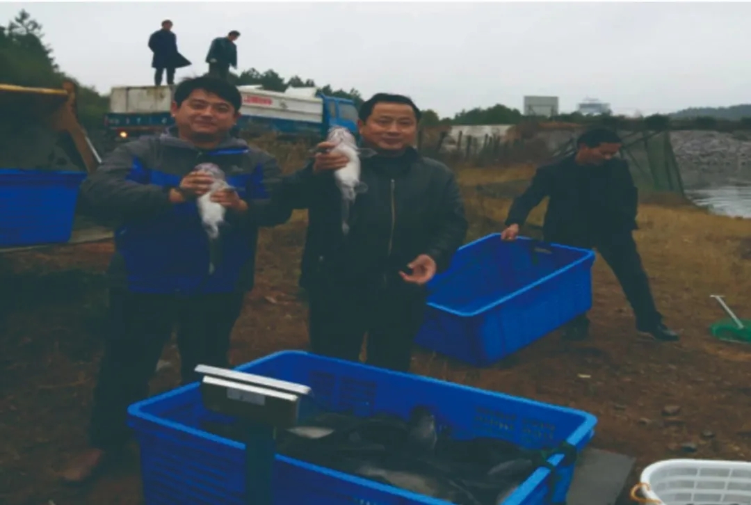 77���� �C ȫ����ȫ����̬�ȵ���������ֱ��ƽ̨