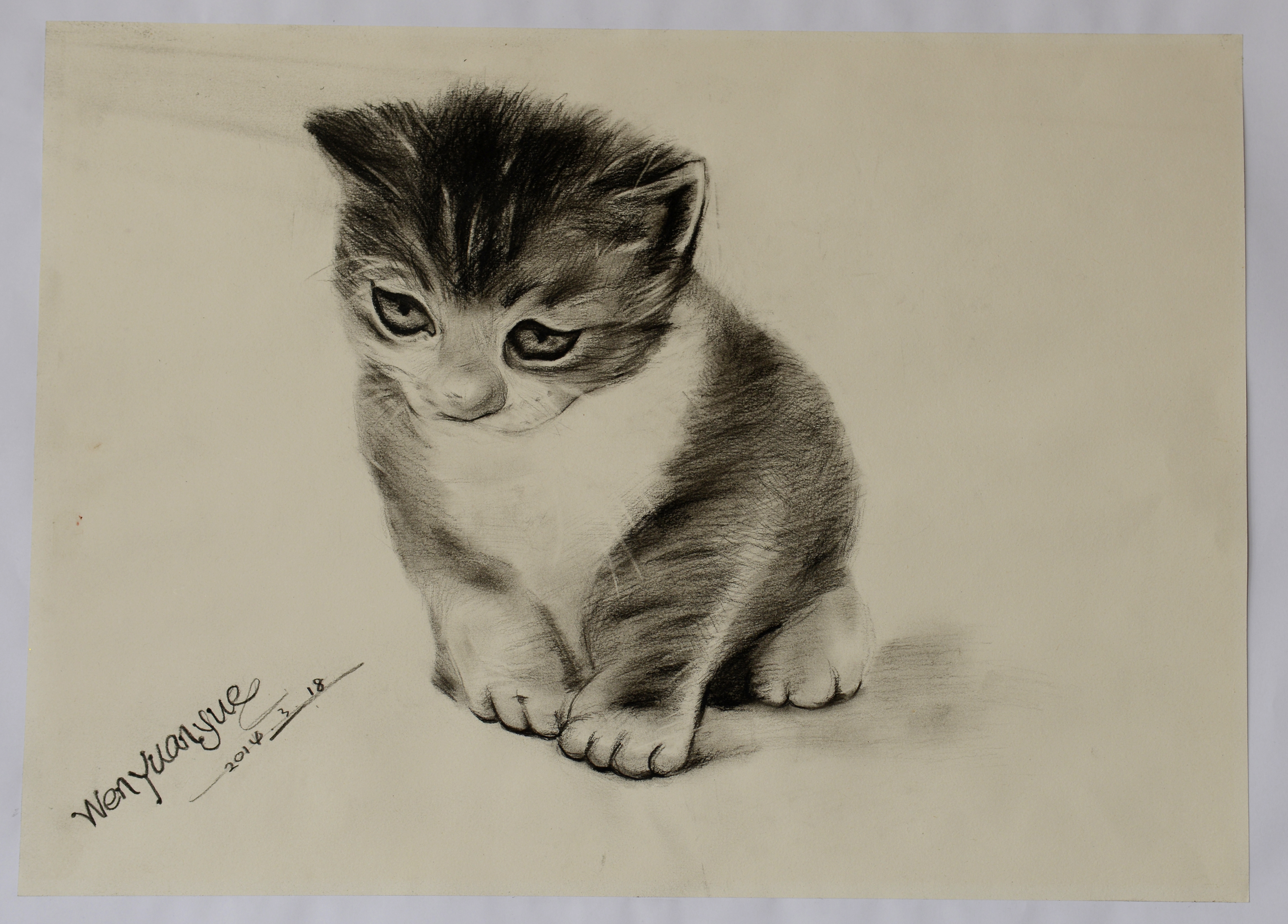 77���� �C ȫ����ȫ����̬�ȵ���������ֱ��ƽ̨