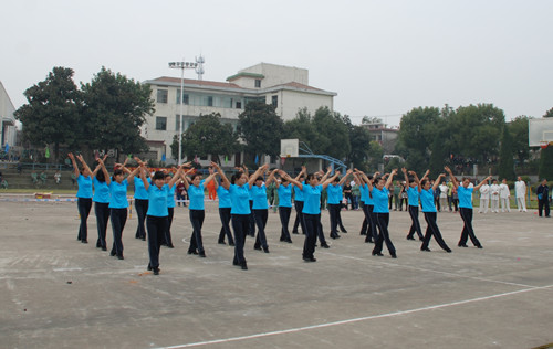 77���� �C ȫ����ȫ����̬�ȵ���������ֱ��ƽ̨