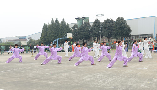 77���� �C ȫ����ȫ����̬�ȵ���������ֱ��ƽ̨