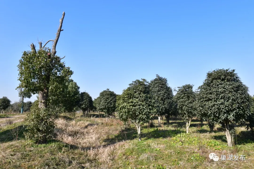 77���� �C ȫ����ȫ����̬�ȵ���������ֱ��ƽ̨