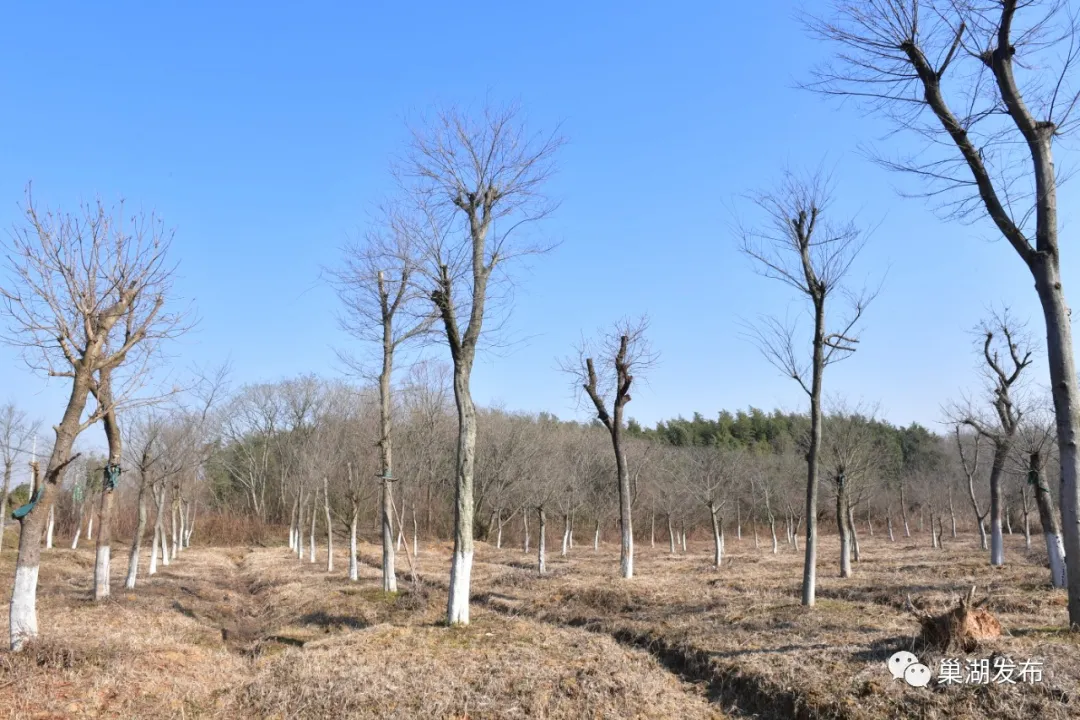 77���� �C ȫ����ȫ����̬�ȵ���������ֱ��ƽ̨