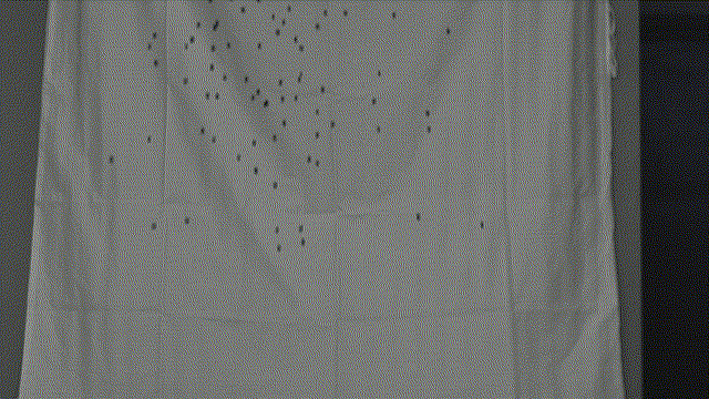 77���� �C ȫ����ȫ����̬�ȵ���������ֱ��ƽ̨