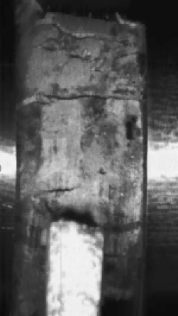 77���� �C ȫ����ȫ����̬�ȵ���������ֱ��ƽ̨