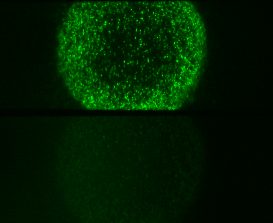 77体育 – 全网最全最有态度的体育赛事直播平台
